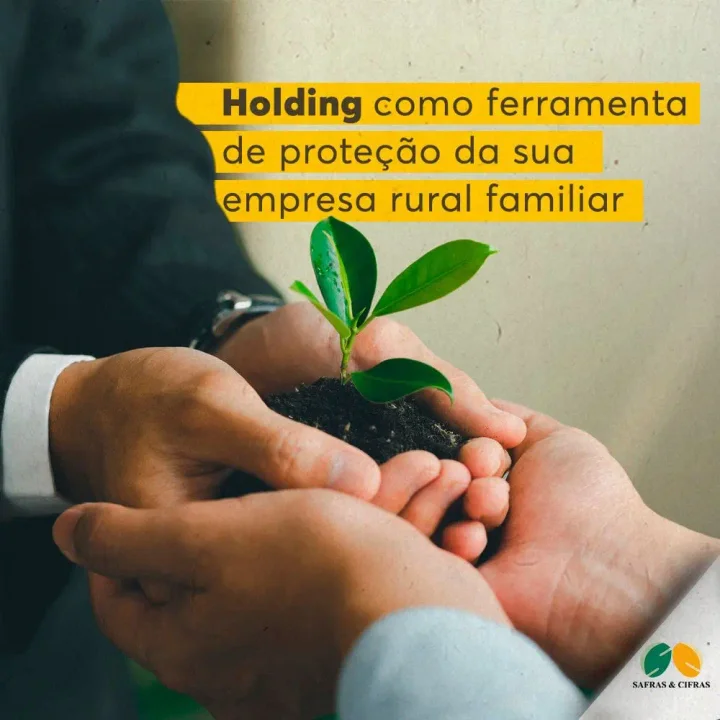 Consultoria em Estruturação de Holding e Sucessão Familiar