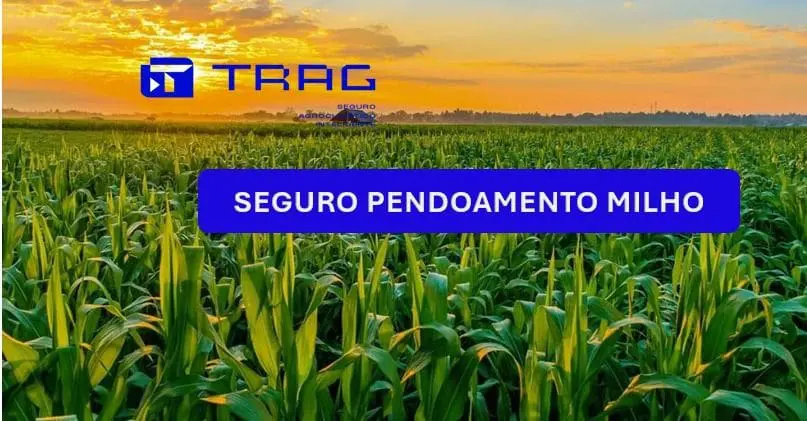 Seguro Pendoamento do Milho