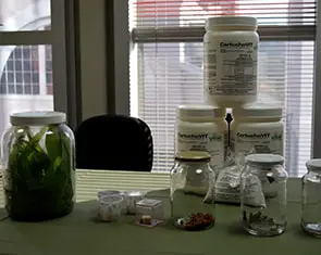 uma bancada de laboratório, possivelmente em um centro de pesquisa agrícola ou universidade. Sobre a mesa, há