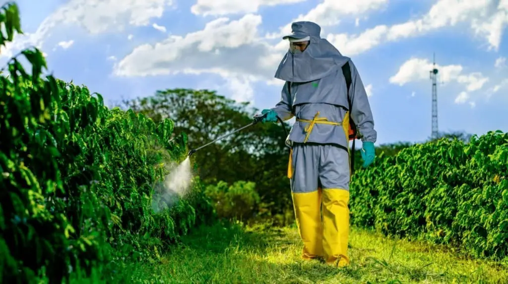 trabalhador rural em uma lavoura, possivelmente de café, realizando a aplicação de defensivos agrícolas.