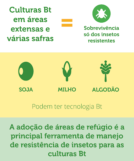 Este é um infográfico educacional que aborda o manejo de resistência de insetos em lavouras com tecnologia Bt (Bacillus thuri