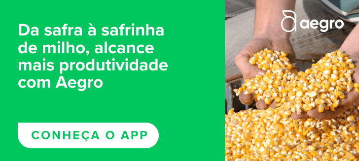 banner publicitário dividido em duas seções. À esquerda, sobre um fundo verde vibrante, há um texto em branco q