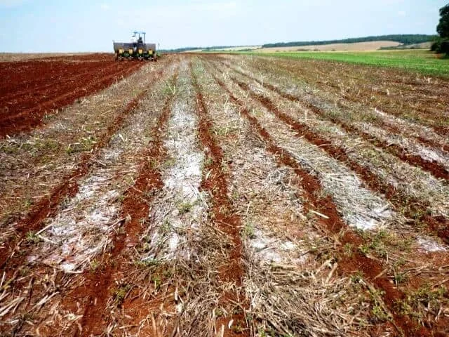 operação agrícola em uma vasta lavoura de solo avermelhado, característico de regiões de alta produtivid