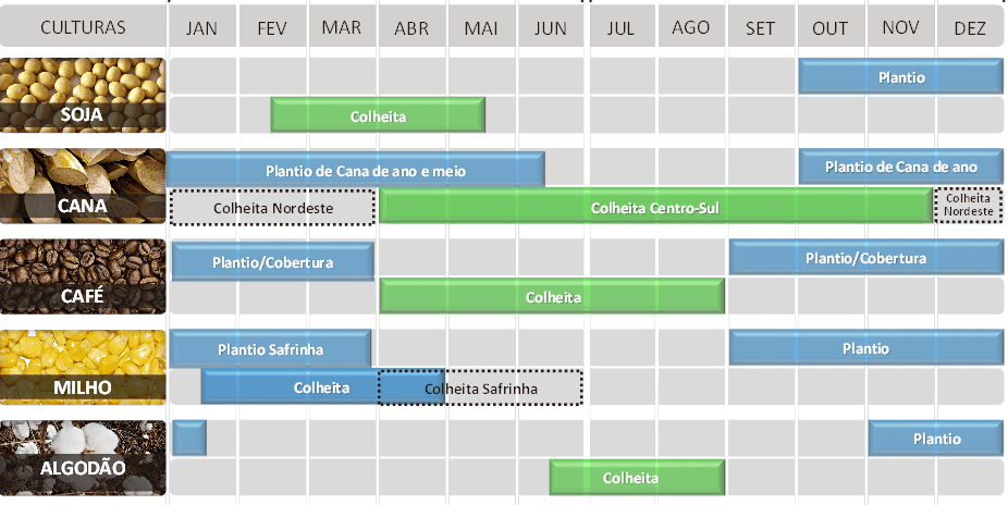 calendário agrícola detalhado, um infográfico que organiza visualmente os períodos de plantio e colheita pa