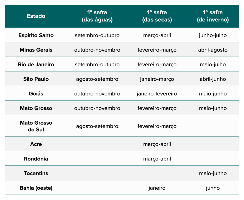 uma tabela informativa que detalha o calendário da primeira safra em diversos estados brasileiros, dividida po