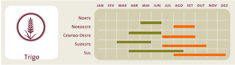 infográfico que apresenta o calendário agrícola para a cultura do trigo no Brasil, dividido pelas cinco macrorr
