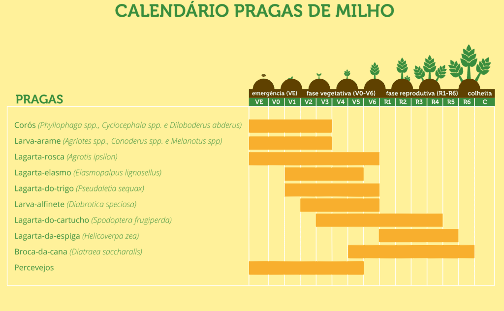 infográfico informativo intitulado ‘Calendário Pragas de Milho’. Ele apresenta um gráfico de barras horizontais