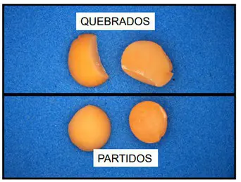 uma comparação visual clara entre grãos ‘quebrados’ e ‘partidos’, provavelmente de soja ou outra leguminosa, s