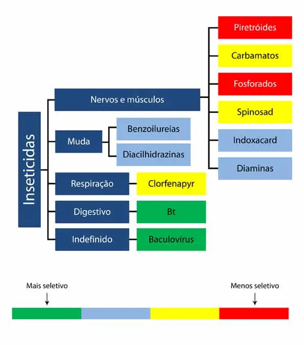 infográfico em formato de fluxograma que classifica diferentes grupos de inseticidas com base em seu mo