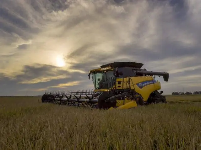 uma colheitadeira moderna, de cor amarela e da marca New Holland, posicionada em uma vasta lavoura de grãos, p