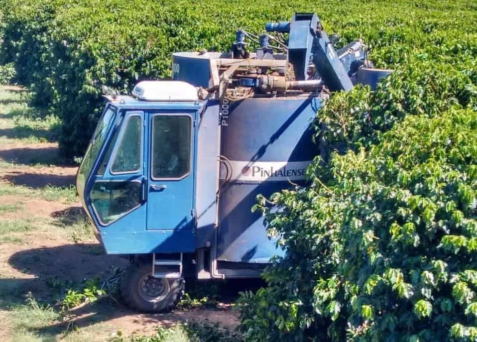 colhedora de café mecanizada, de cor azul, da marca Pinhalense, modelo P1000, em plena operação numa lav