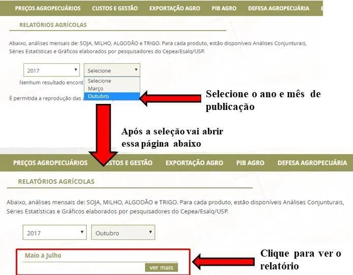 tutorial visual que demonstra, em duas etapas, como acessar relatórios agrícolas em um portal online. Na primei