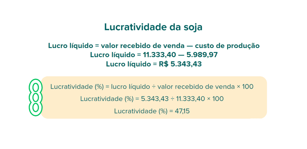 infográfico educacional que demonstra, de forma clara e passo a passo, como calcular a lucratividade da cultura