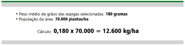 exemplo prático de como realizar o cálculo de estimativa de produtividade de uma lavoura, provavelmente de