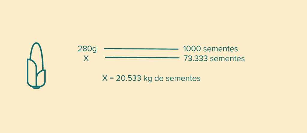 infográfico minimalista que demonstra um cálculo agrícola essencial: a determinação da quantidade de se