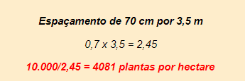 cálculo matemático para determinar a densidade de plantas por hectare, um conceito fundamental no plane