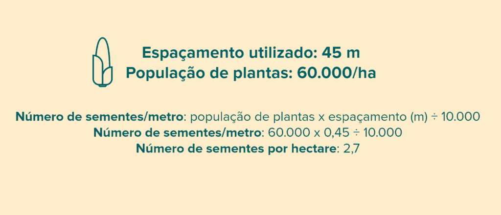 infográfico educacional que demonstra o cálculo para determinar o número de sementes por metro linear em uma la