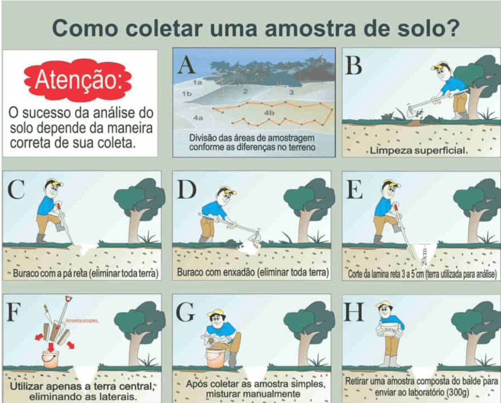 infográfico educativo em português que detalha, em oito passos ilustrados, o processo correto de coleta de uma