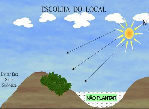 ilustração didática que explica os critérios para a ‘Escolha do Local’ ideal para o plantio agrícola, focando