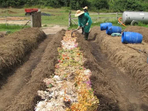 o processo de compostagem em leiras numa propriedade rural. Em primeiro plano, vemos duas pessoas, vestidas