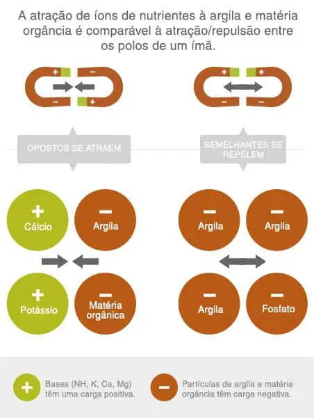 Este infográfico educacional detalha o princípio da Capacidade de Troca Catiônica (CTC) no solo, um conceito fundamental para