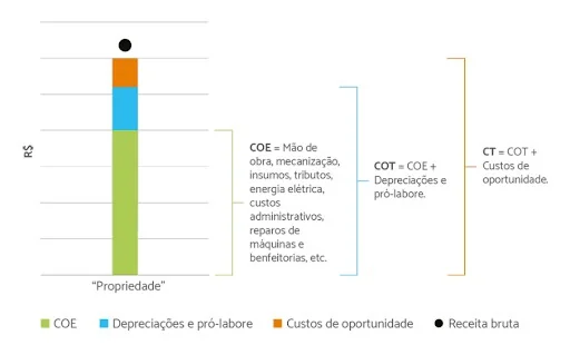 infográfico que detalha a composição dos custos de uma propriedade rural, contrastando-os com a receita