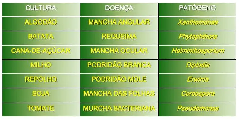 tabela informativa com um fundo em gradiente de verde, organizada em três colunas e sete linhas. As co