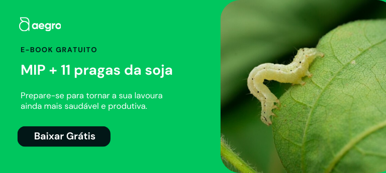 banner promocional dividido em duas seções. À esquerda, sobre um fundo verde vibrante, encontra-se o logotipo d