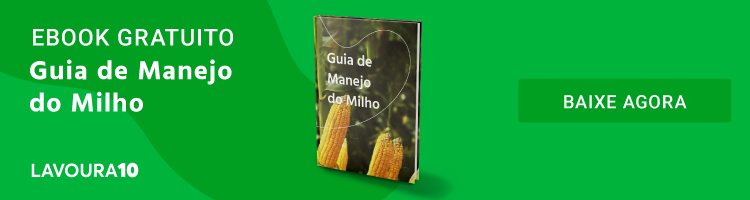 Banner promocional com fundo verde vibrante, projetado para divulgar um material educativo gratuito. No lado esquerdo, em tex