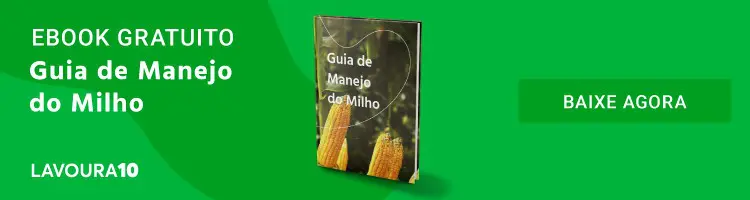 banner promocional digital com um fundo verde vibrante, projetado para atrair a atenção do público do agronegóc