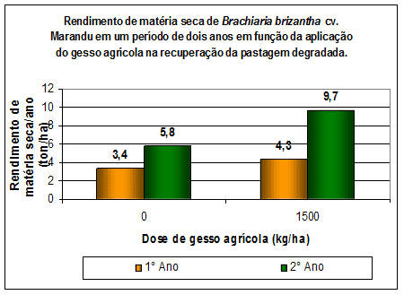 gráfico de barras comparando o rendimento de matéria seca da forrageira Brachiaria brizantha cv. Marandu,