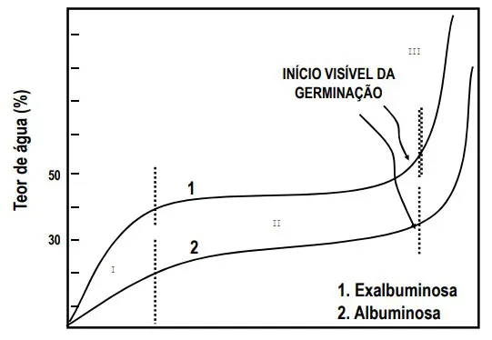 Este gráfico ilustra o padrão trifásico de absorção de água durante o processo de germinação de sementes, comparando dois tip