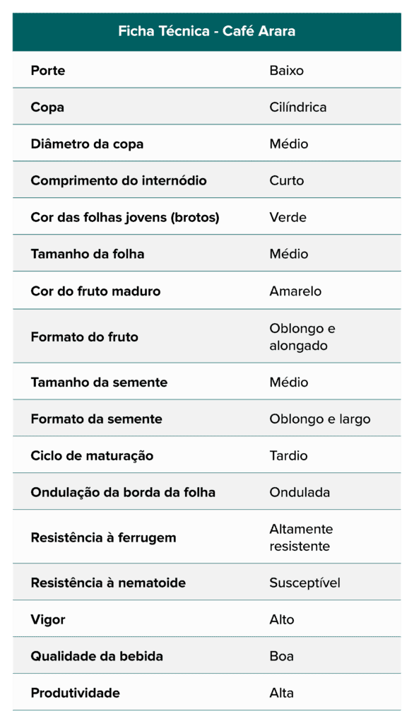 uma ficha técnica detalhada da variedade de café ‘Arara’. Apresentada em formato de tabela com um cabeçalho ve