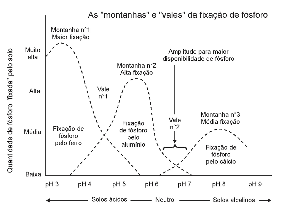 O gráfico, intitulado “As ‘montanhas’ e ‘vales’ da fixação de fósforo”, ilustra a complexa relação entre o pH do solo e a dis