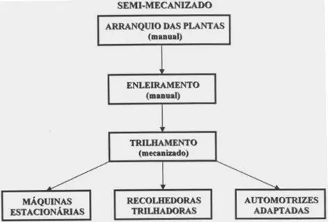 fluxograma em preto e branco que detalha as etapas de um processo de colheita agrícola semi-mecanizado. O p