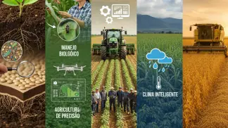 Agricultura De Precisão