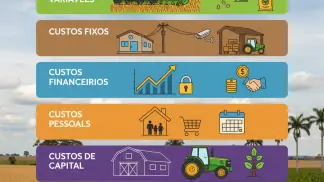 Gestão De Custos Agrícolas