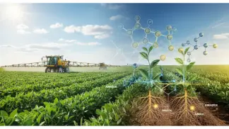 Nutrição De Plantas