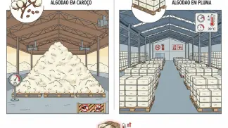 Armazenamento De Algodão