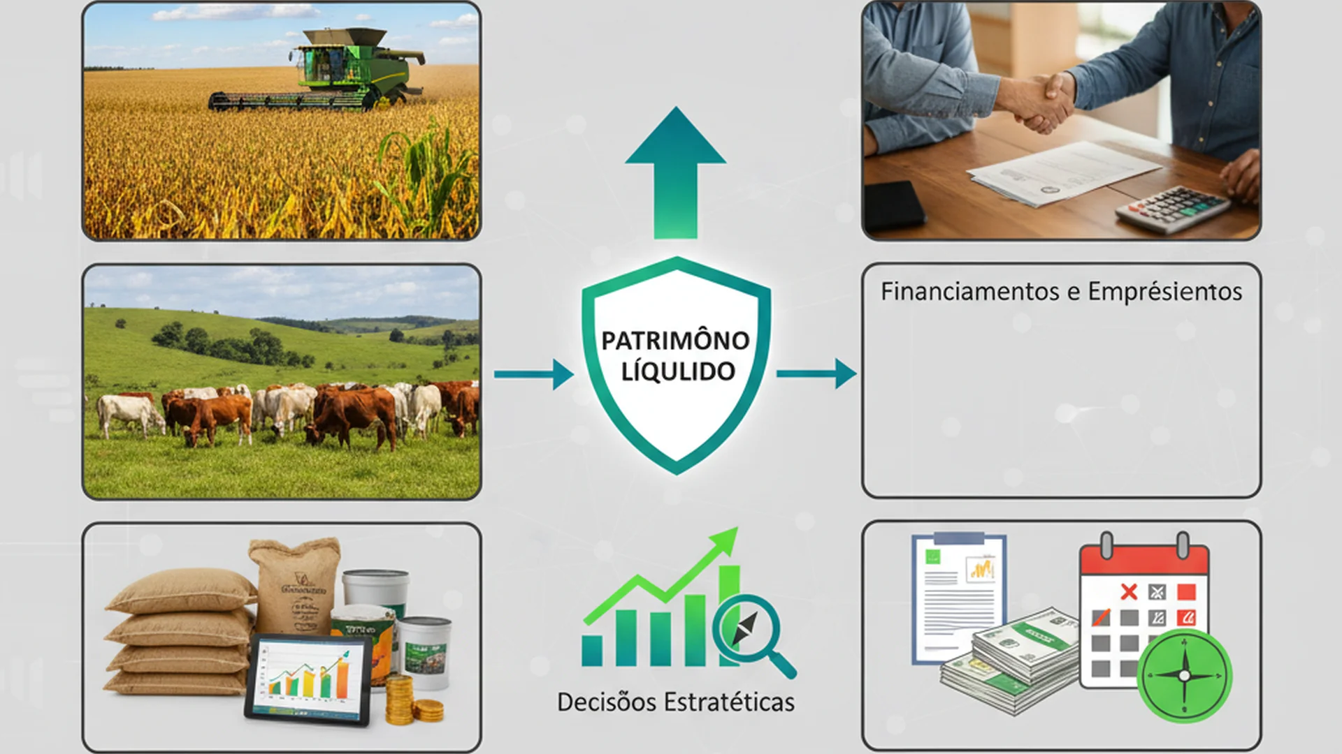 Balanço Patrimonial na Fazenda: O Guia Completo para o Produtor Rural