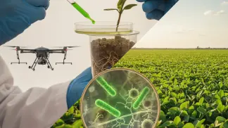 Bioinsumos