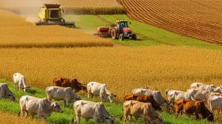 Gestao-Agricola