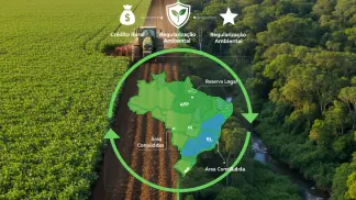 Gestao-Financeira