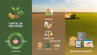 Crédito Rural