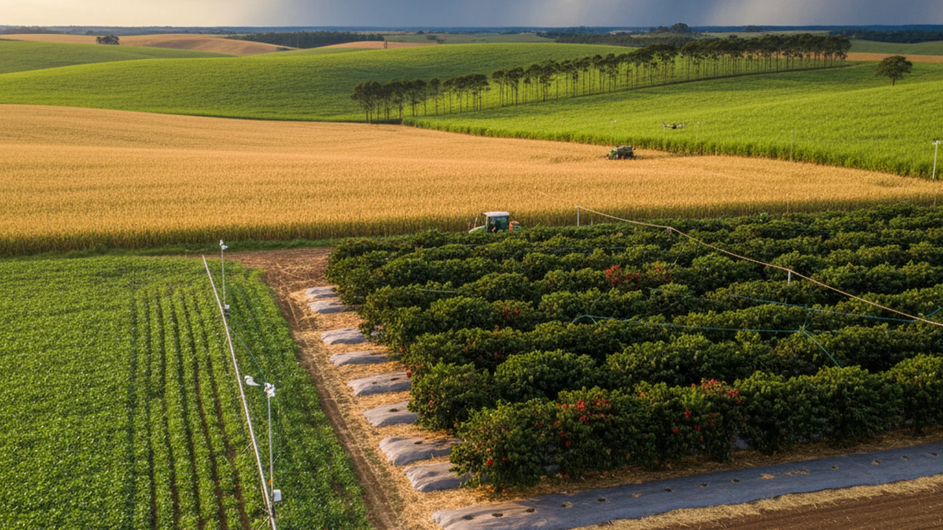 Clima e Agricultura: Como Proteger Sua Lavoura das Mudanças Climáticas