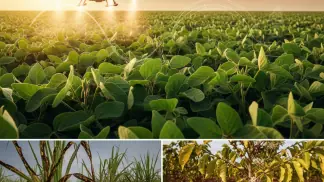 Micronutrientes