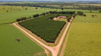 Legislação Agrária