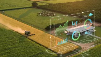 Software De Gestão Agrícola