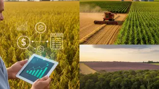 Custo De Produção Agrícola