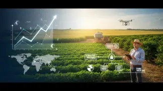 Mercado De Commodities